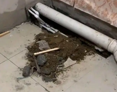 保亭卫生间漏水检测哪家好