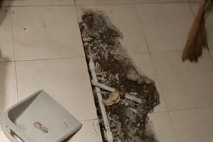 保亭卫生间漏水检测电话